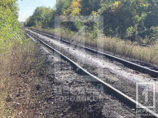В Кривом Роге тепловоз наехал на мужчину