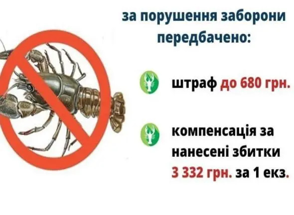 Изображение удалено.
