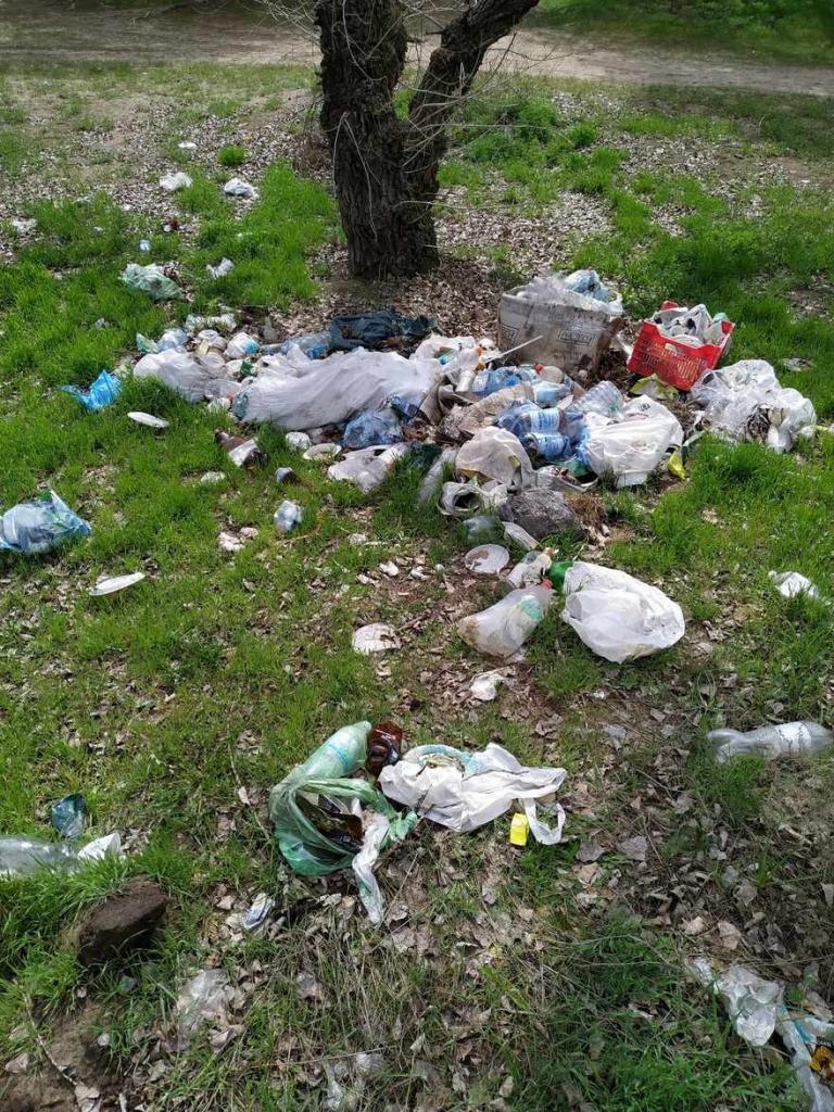 Под Каменским популярное место отдыха превратилось в свалку