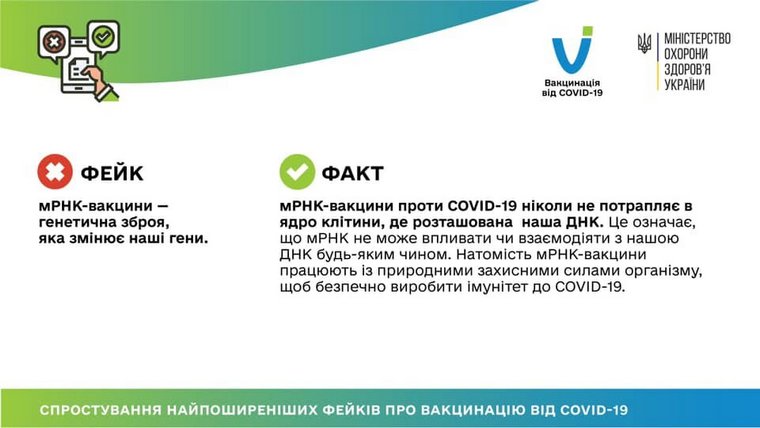 фейк-факт