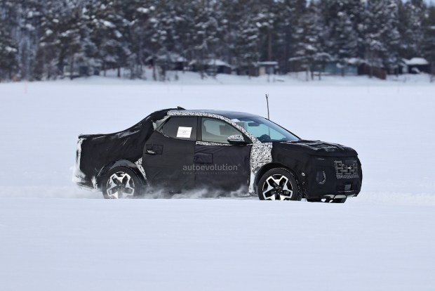  Hyundai Santa Cruz