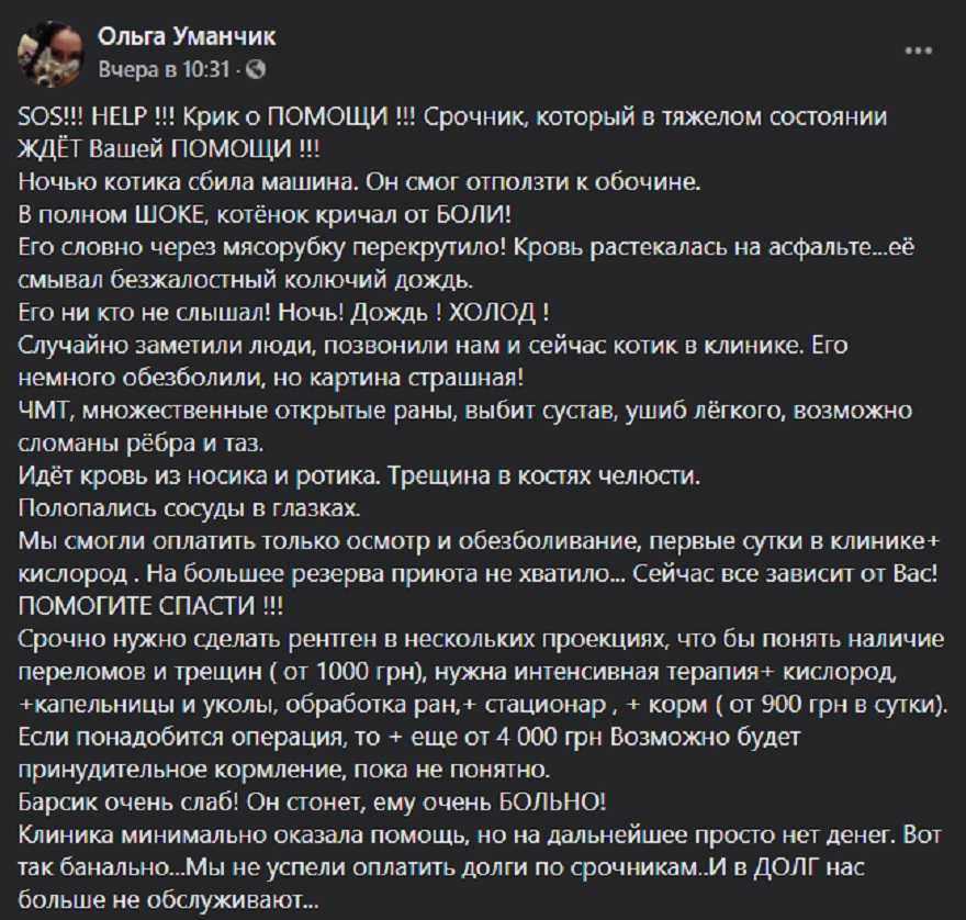 Барсик