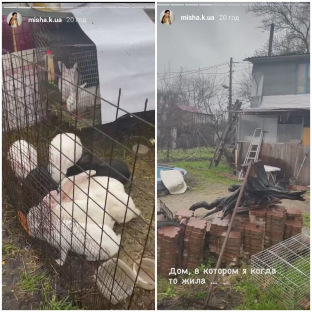 Ксения Мишина показала ободранный дом, в котором жила