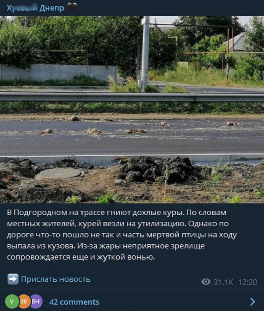 Мертвые тушки куриц