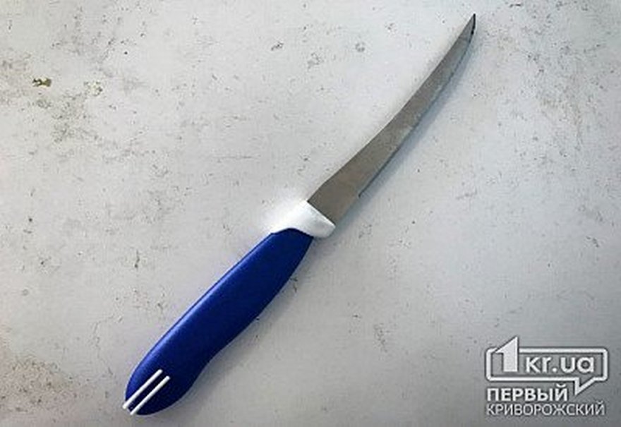 Задержание в Кривом Роге