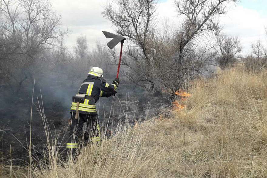 На Днепропетровщине из пожара в экосистеме спасли совенка