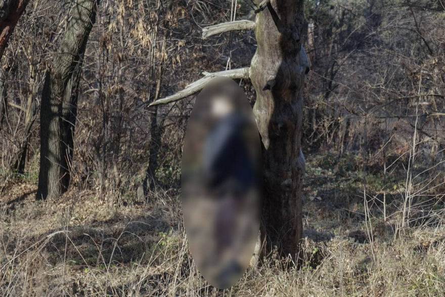 повесился