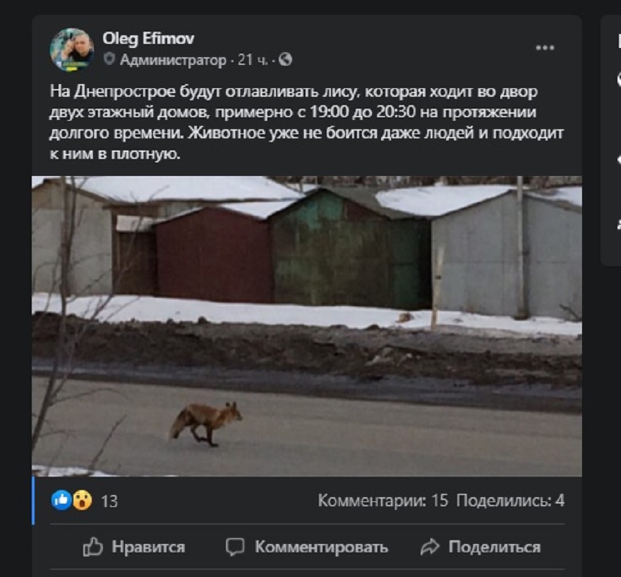 Публикация