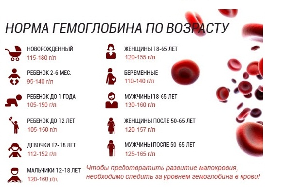 Норма гемоглобина