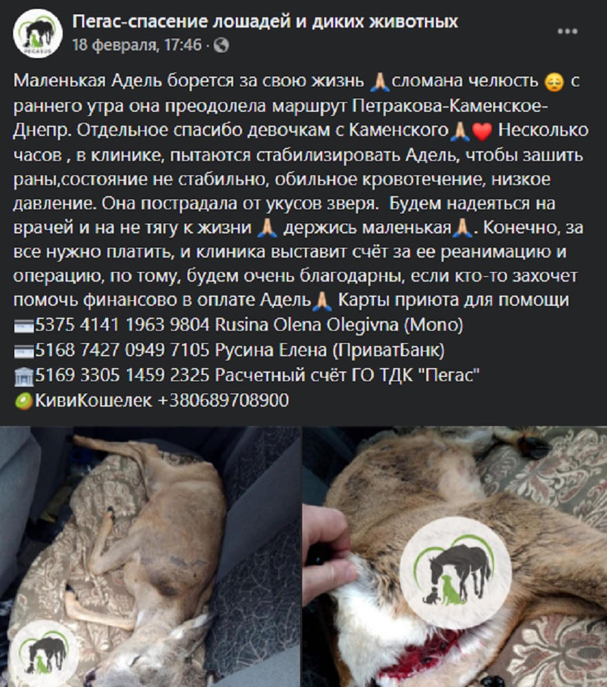 Помощь