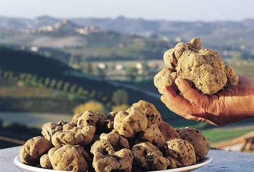 Самые дорогие продукты в мире