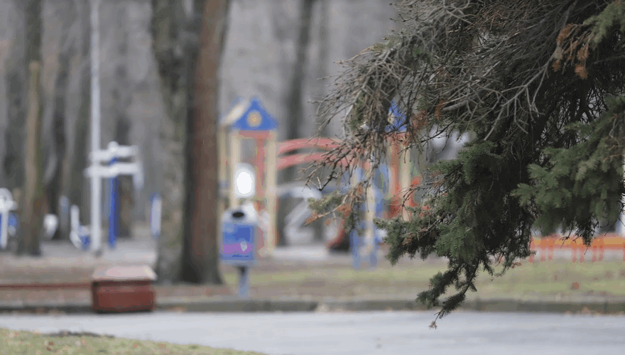 Как в Днепре ухаживают за парковыми растениями