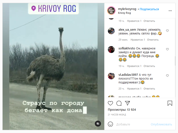 Скриншот
