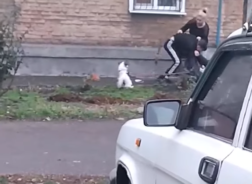 В Кривом Роге избили заступившегося за покалеченного щенка подростка