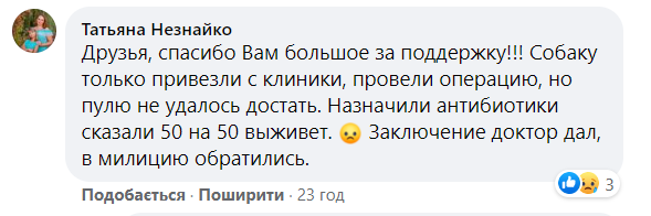 Пока неизвестно, выживет ли пес