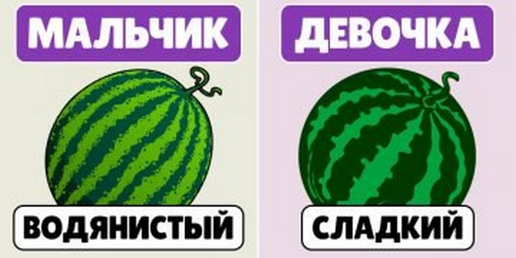 Как правильно выбрать спелый арбуз: проверенные способы