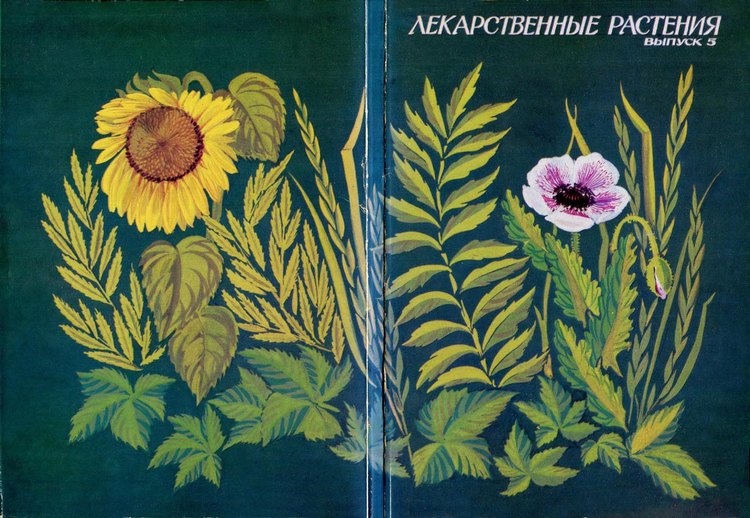 Жуткие привычки из СССР, от которых давно пора избавиться