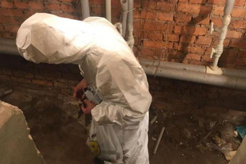 В Днепре обработали подвалы от опасных грызунов