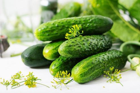 Вкусные малосольные огурцы за одну ночь: пошаговый рецепт