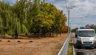 В Днепре мужчина нашел фрагмент человеческой руки