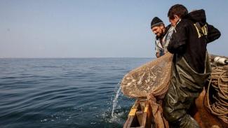 Азовское море лишило украинцев главного продукта: что происходит