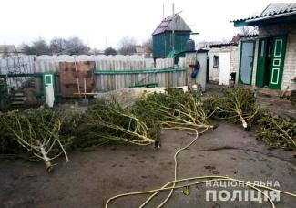 фото полиции