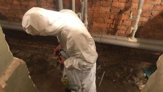 В Днепре обработали подвалы от опасных грызунов
