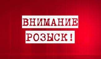 На Днепропетровщине иномарка сбила насмерть велосипедиста