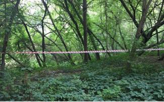На Днепропетровщине в центральном парке найден труп мужчины