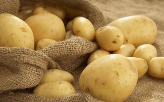 Чем опасно употребление картофеля - ученые