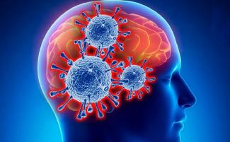 Как коронавирус влияет на мозг человека: новое исследование