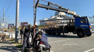 В центре Днепре на эко-парковке начали высаживать деревья