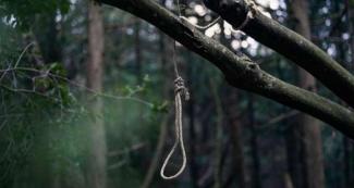 В Кривом Роге мужчина повесился на дереве во дворе своего дома