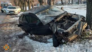 В Каменском ВАЗ вылетел с дороги и врезался в дерево: двое детей в больнице