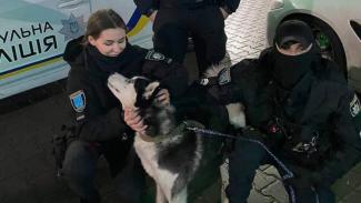 Патрульные Днепра вернули домой потерянного хаски