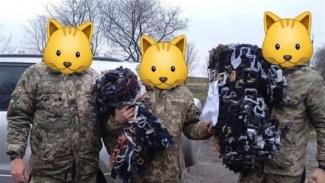 ви