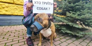 о