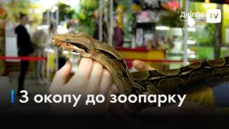 Дніпро
