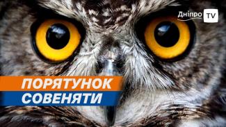 о