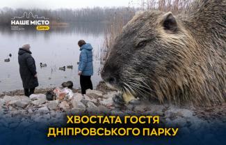 а