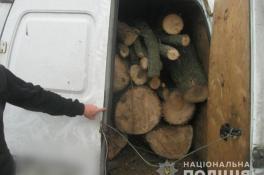 фото полиции