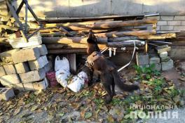 фото полиции