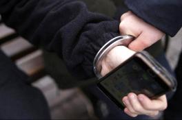 Полиция задержала вора