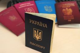 Глава МИД поддерживает двойное гражданство