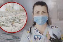 В Украине вспыхнул громкий скандал из-за младенцев, рожденных для иностранцев