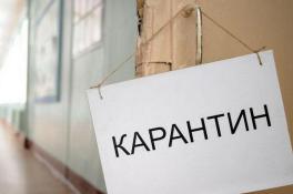 карантин