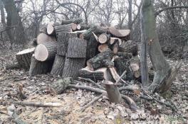 фото полиции