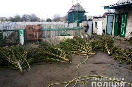 фото полиции
