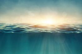 Что будет, если выпить морскую воду: последствия поражают