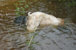 труп в воде